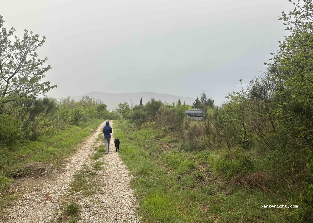 (56041) Castelnuovo di Val di Cecina - Unnamed Road — foto