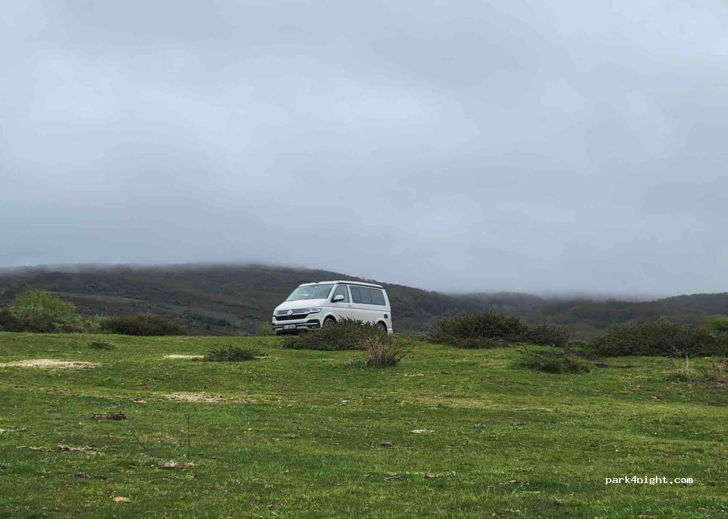 (39213) Arroyo - — foto