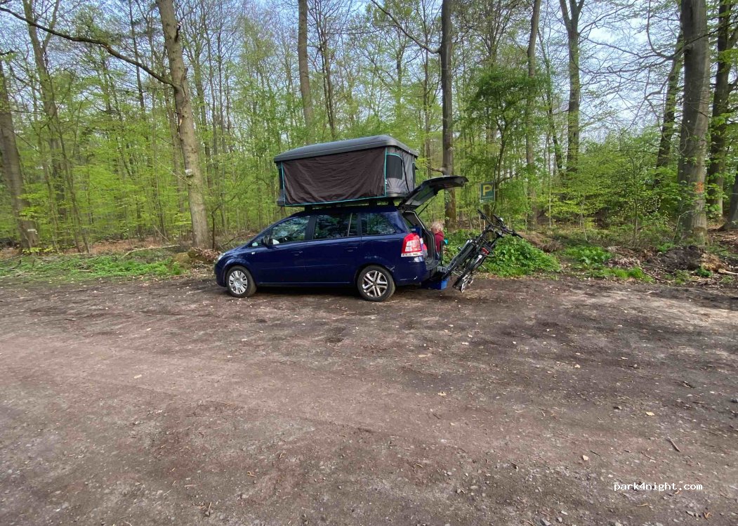 (25485) Hemdingen - Im Wohld — foto