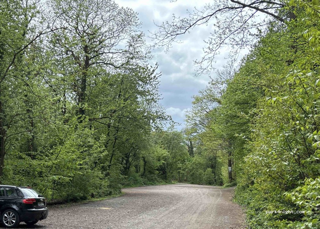 (76833) Frankweiler - 39 Ringelsbergstraße — foto