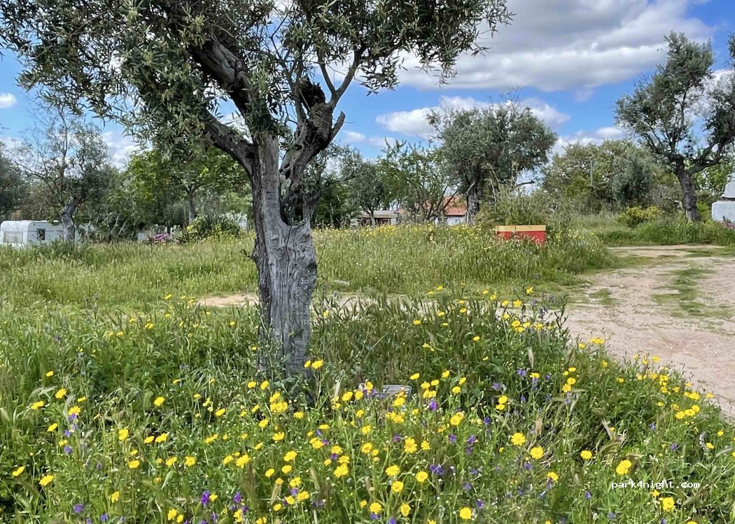 Quinta do Pomarinho — foto 2