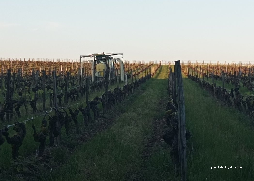(17800) Pons - Route de Fléac — foto