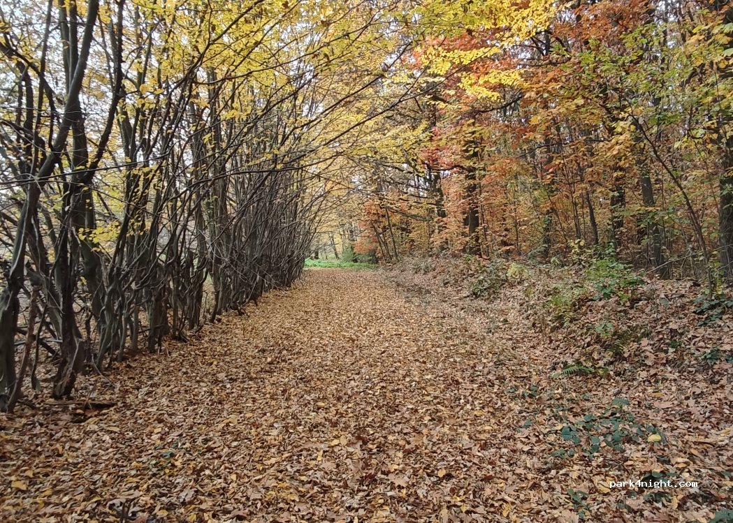 Gajówka — foto 2