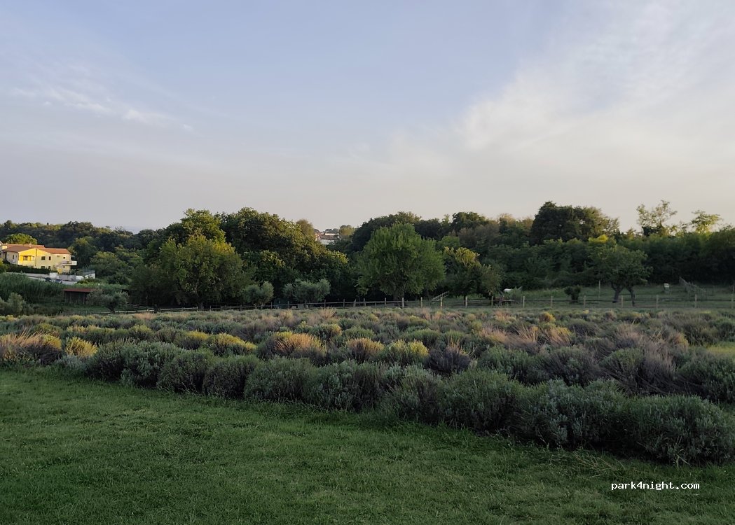 Area Sosta Camper Sirolo — foto 4