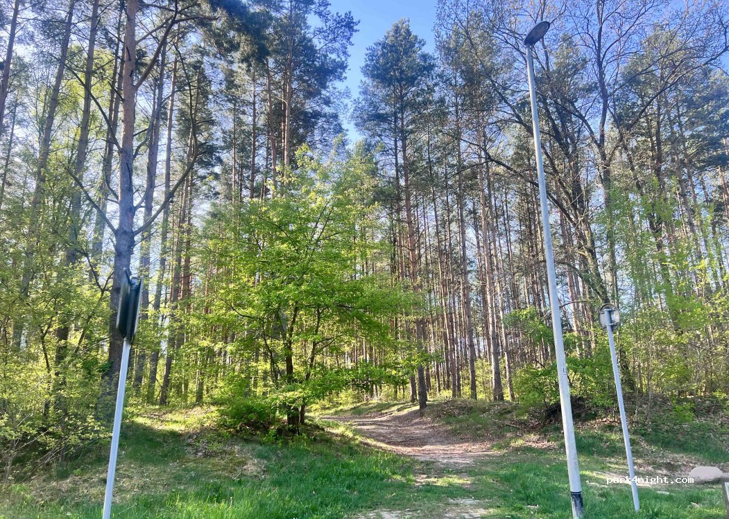 (72-003) Buk - Unnamed Road — foto