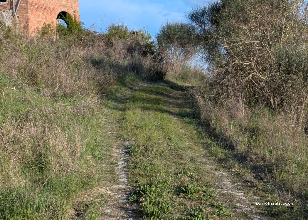 (53020) San Giovanni d'Asso - — foto 3