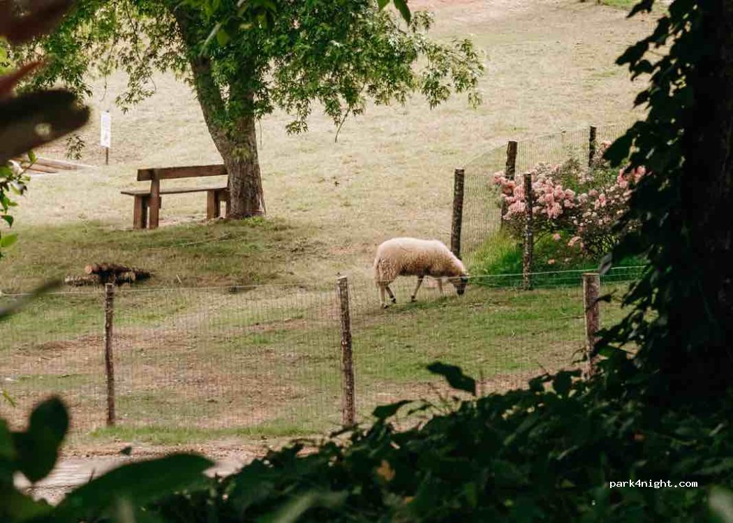 Slow Village Séveilles — foto 3