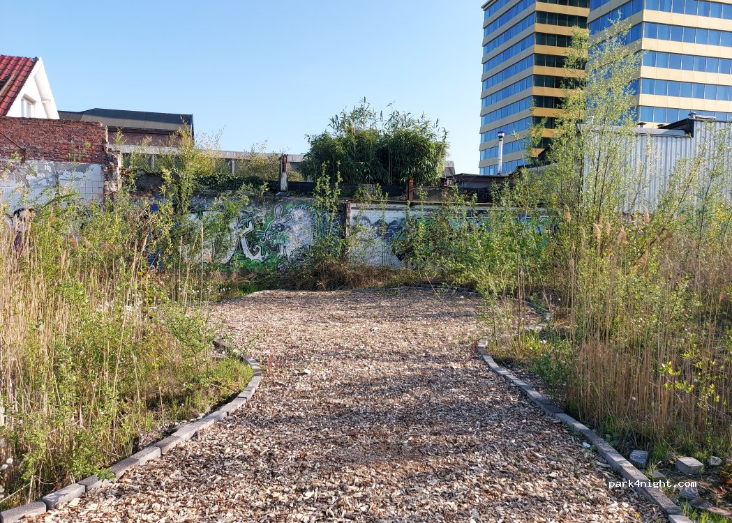 Secret Garden — foto 4