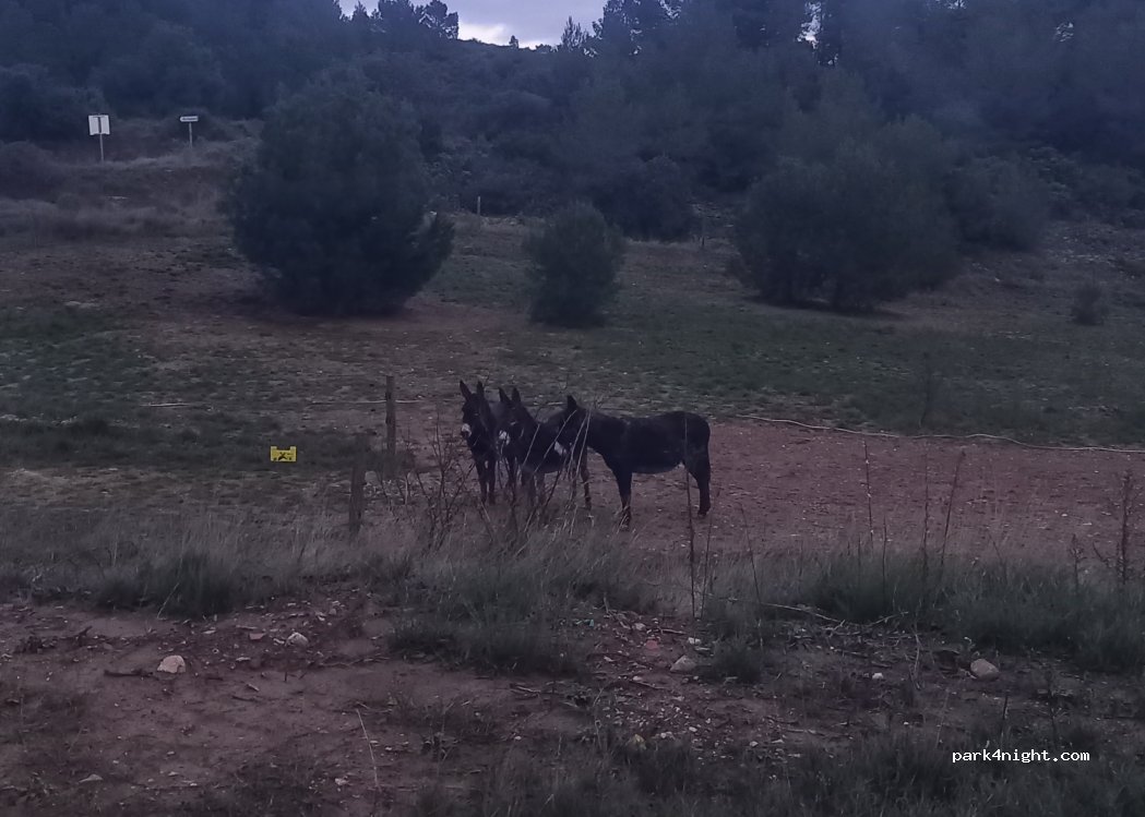 (34210) Oupia - Unnamed Road — foto 4
