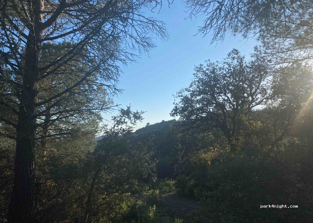 (43362) Siurana - — foto 2