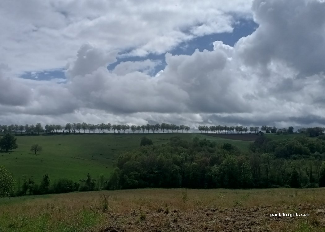 (31420) Cassagnabère-Tournas - 610 Pigneyre — foto 2