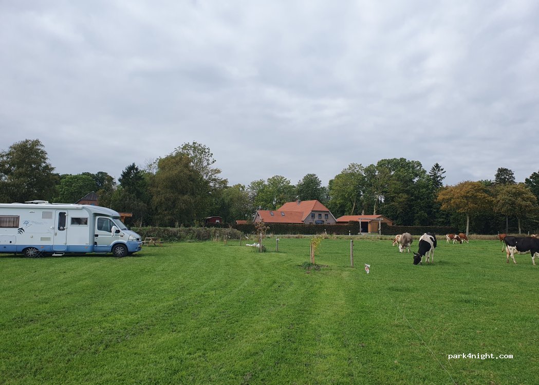 (26937) Stadland - — foto 4