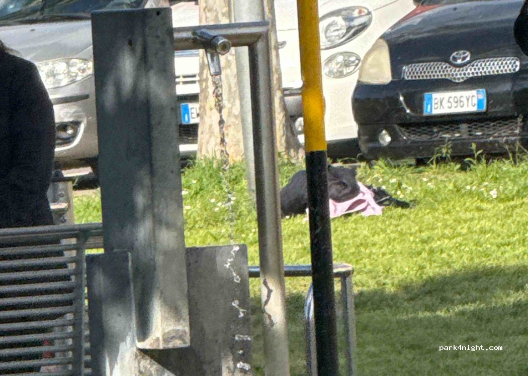 (40019) Sant'Agata Bolognese - 3 Via Terragli a Ponente — foto