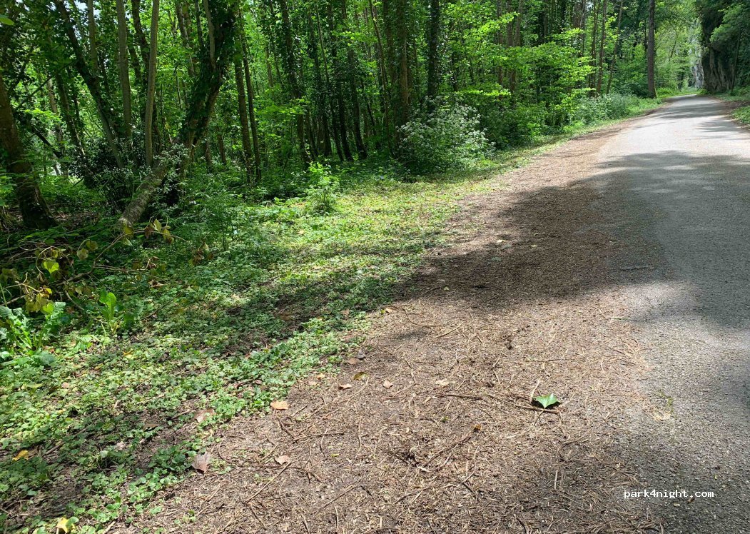 (46330) Saint-Cirq-Lapopie - — foto