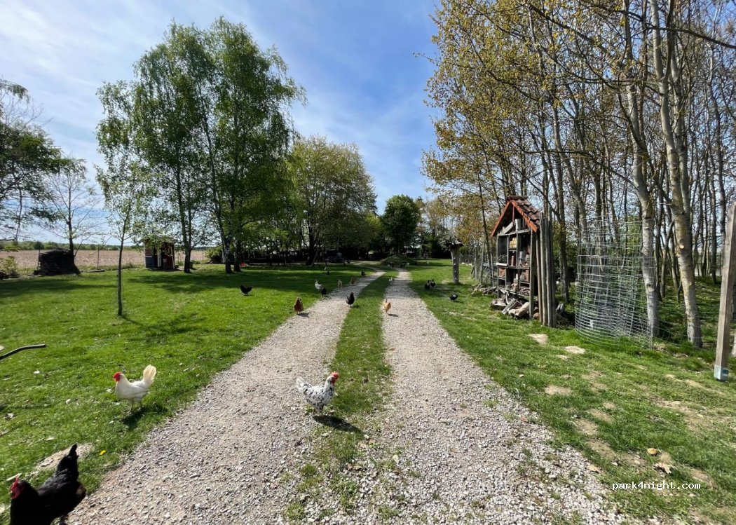 (91074) Herzogenaurach - — foto 2