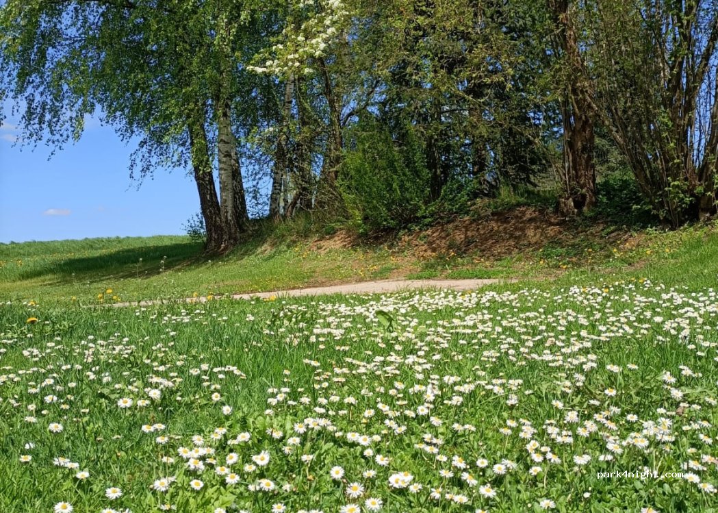(95478) Kemnath - 13 Kötzersdorf — foto 4