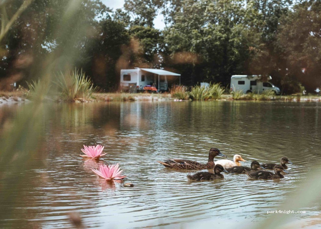 Camping Op Zestien — foto 5