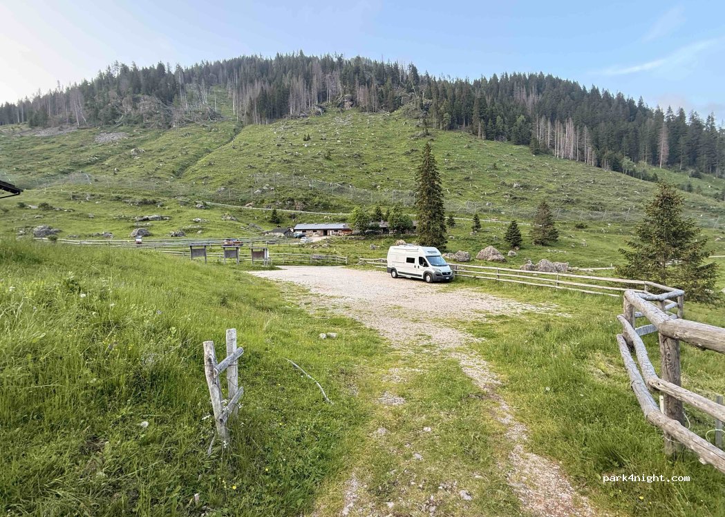 (38050) Telve - 3 Strada Provinciale 31 — foto 2