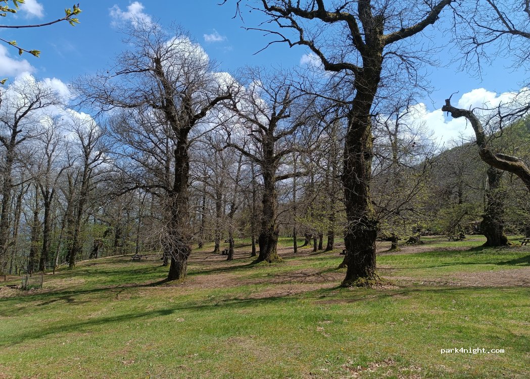 (58026) Montieri - — foto