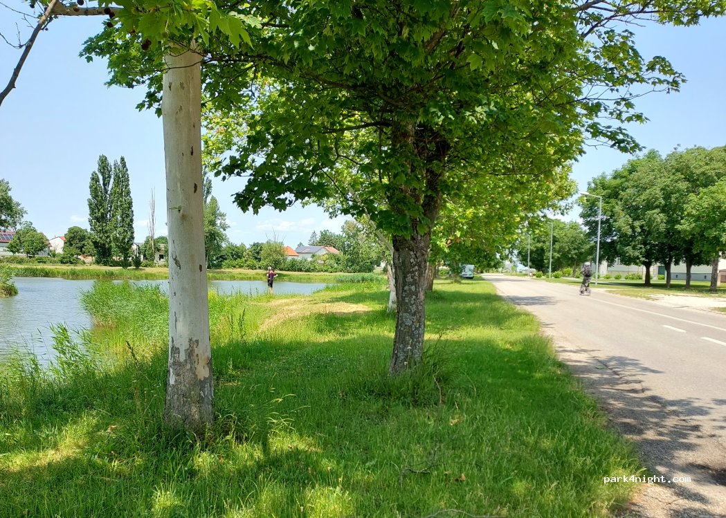(7143) Apetlon - 2a Frauenkirchenerstraße — foto 2