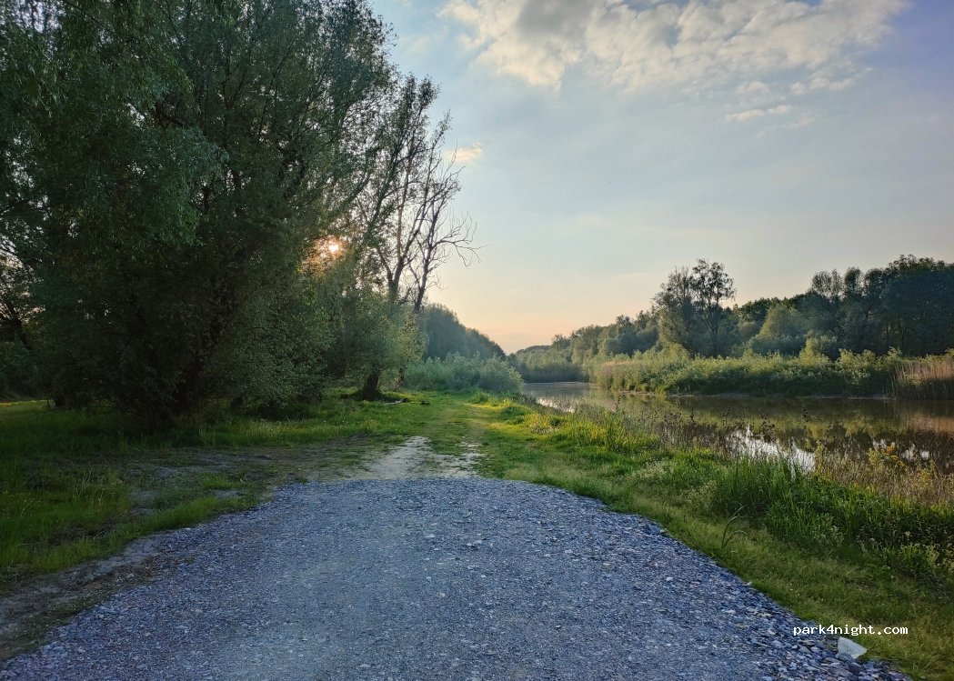 (31204) Sarvaš - — foto