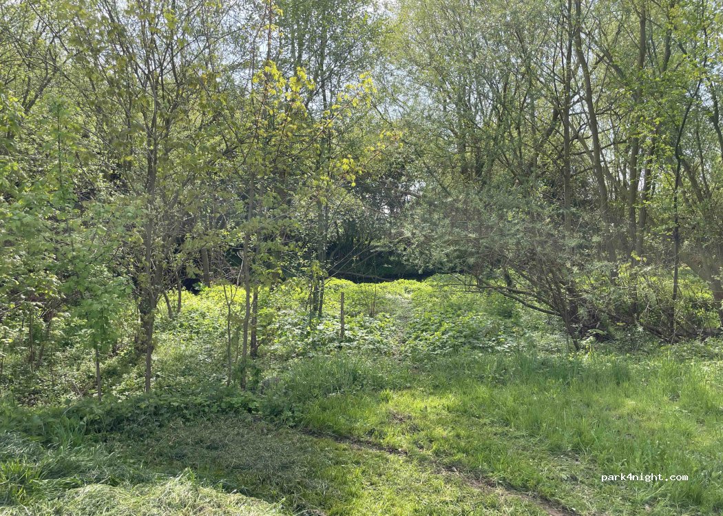 (99) Nordhausen - — foto 4