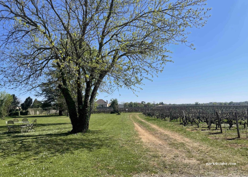 Château Liot — foto