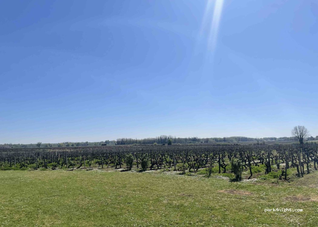 Château Liot — foto 4
