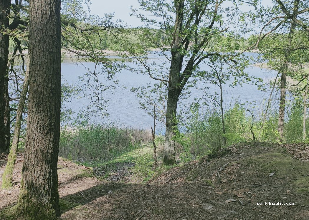 (15898) Neuzelle - — foto 4