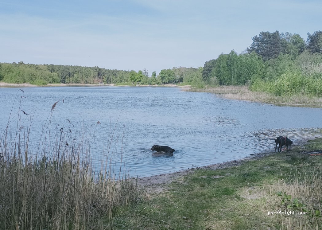 (15898) Neuzelle - — foto 5