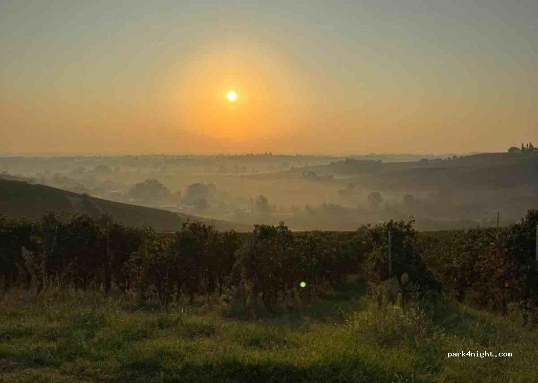 (27040) Costa Montefedele - 10 SP61 — foto 3