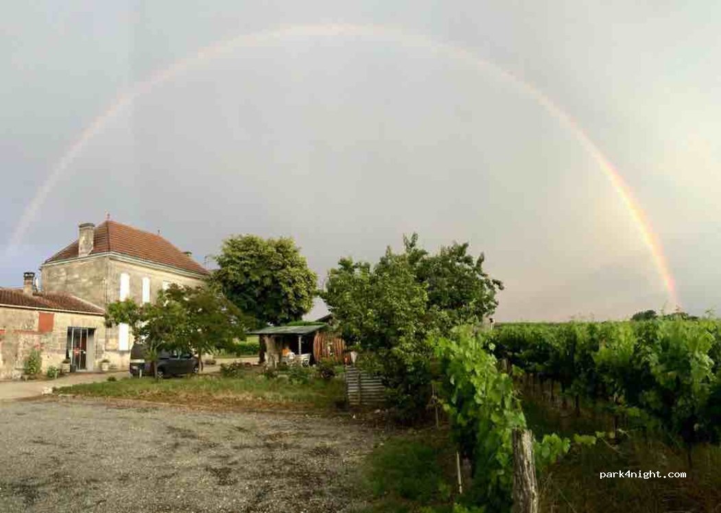 Vignoble Sautereau — foto 3