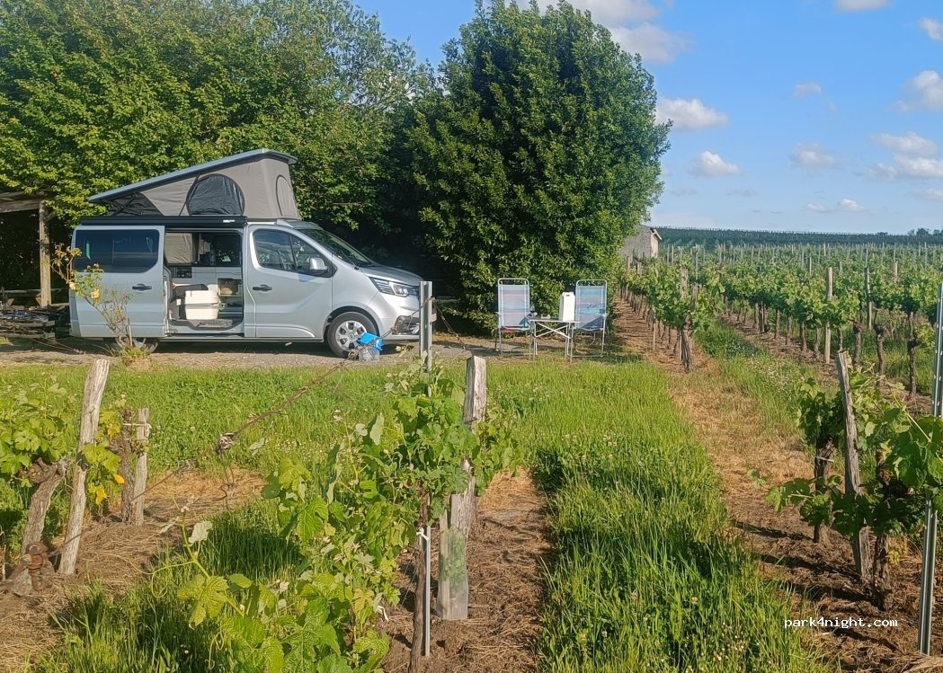 Vignoble Sautereau — foto 5