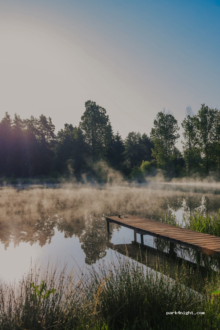 Pole biwakowe Ośrodek Jagoda — foto 5