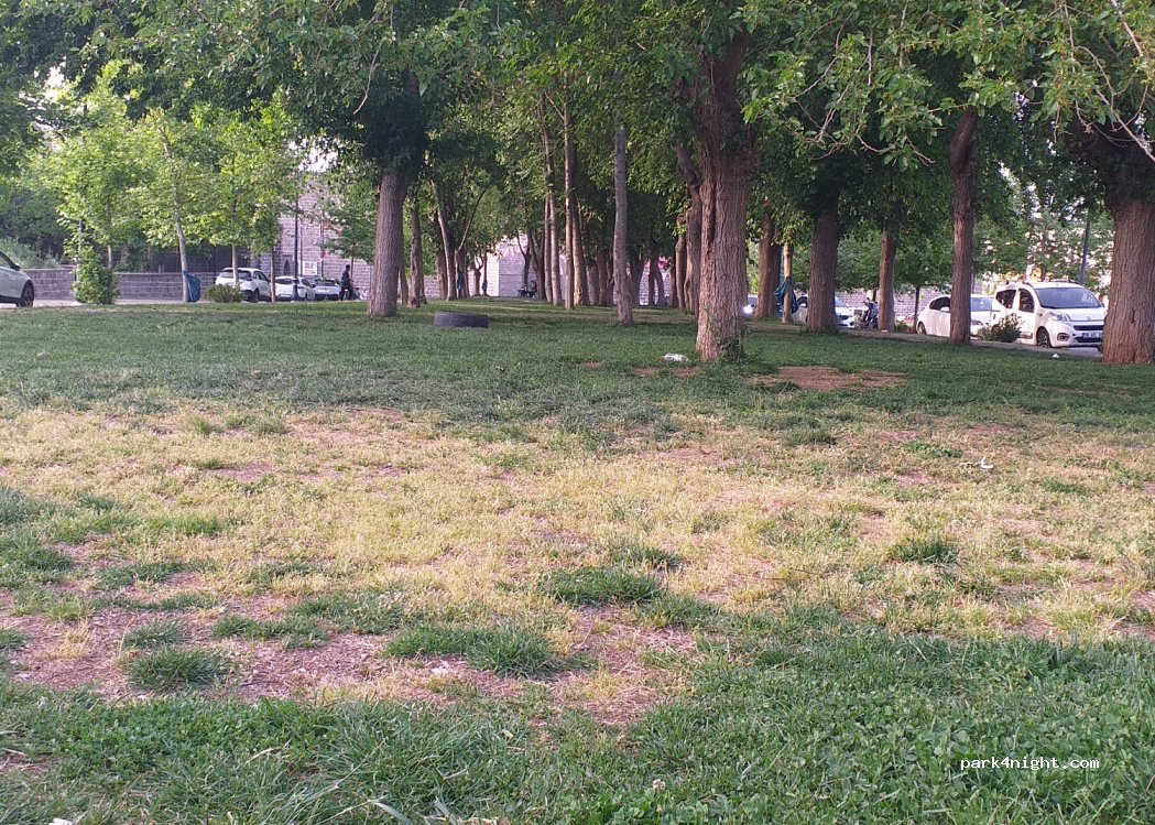 (21300) Sur - 1 İçkale 1. Sokak — foto 3
