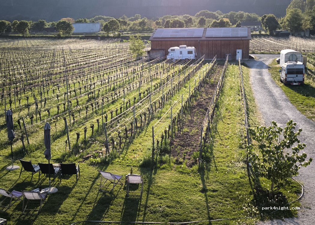 Weingut Glaser — foto