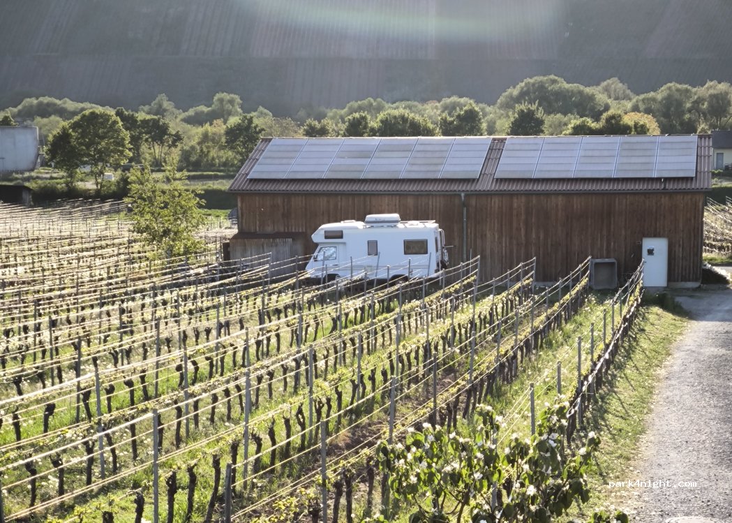 Weingut Glaser — foto 2