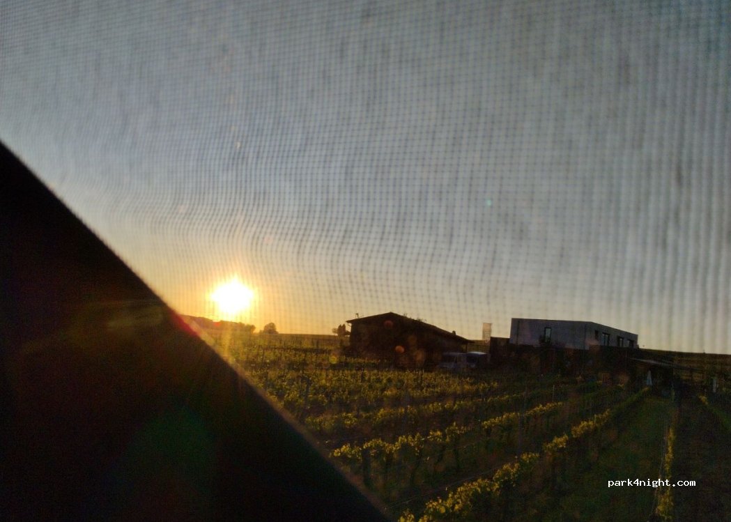 Weingut Glaser — foto 3