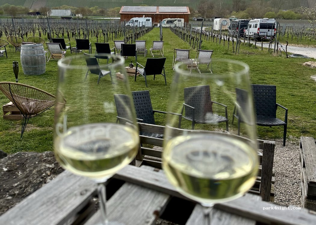 Weingut Glaser — foto 4