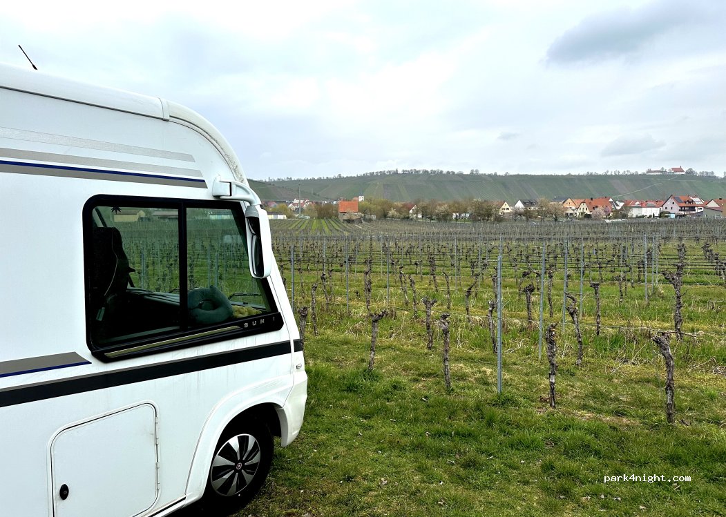 Weingut Glaser — foto 5