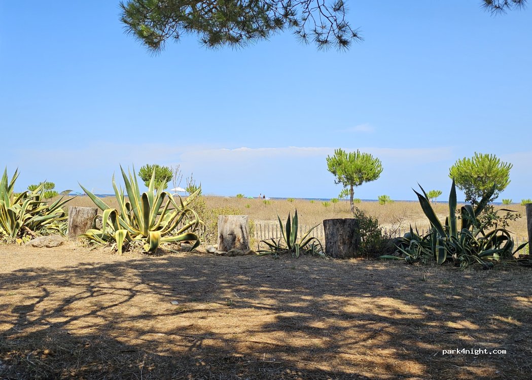 Camping Olmellu — foto 5