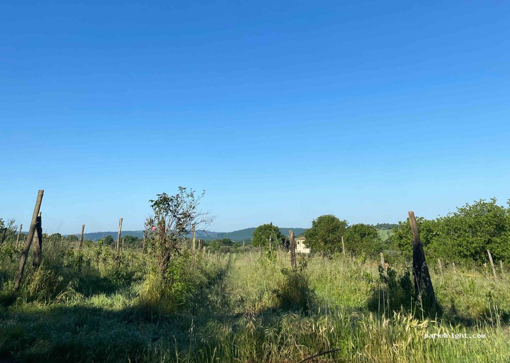 (58010) Sovana - — foto 2