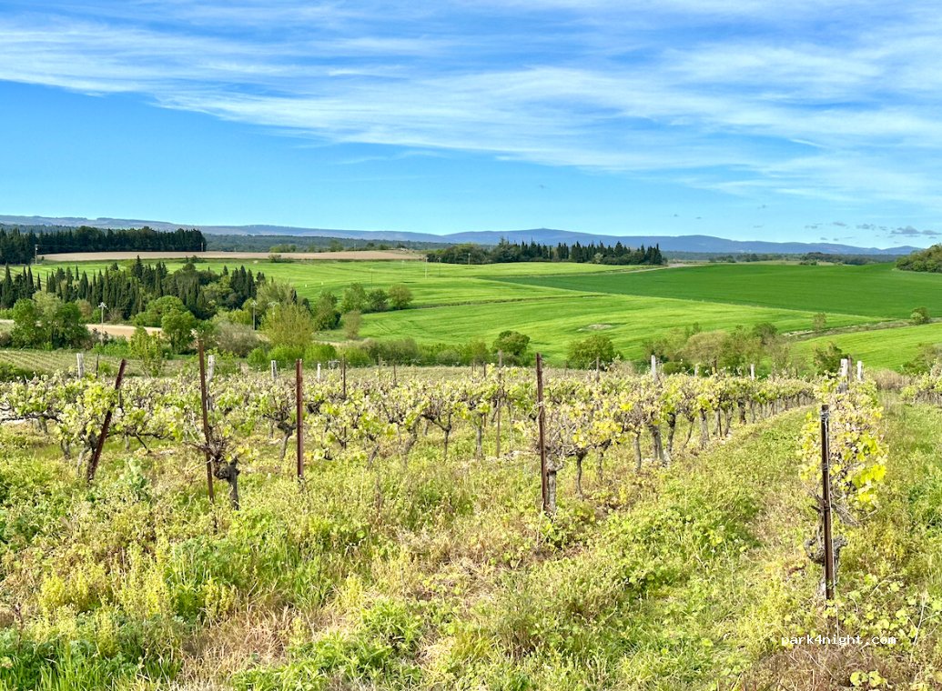 Domaine Le Moural — foto 2