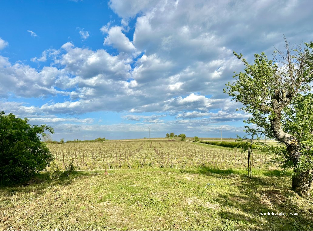 Domaine Le Moural — foto 3