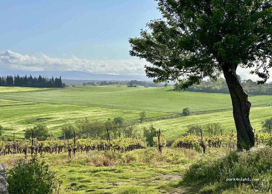 Domaine Le Moural — foto 4