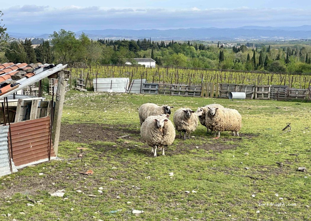 Domaine Le Moural — foto 5