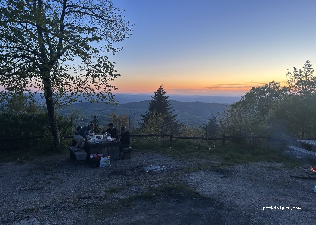 (73470) Nances - D916 — foto 4
