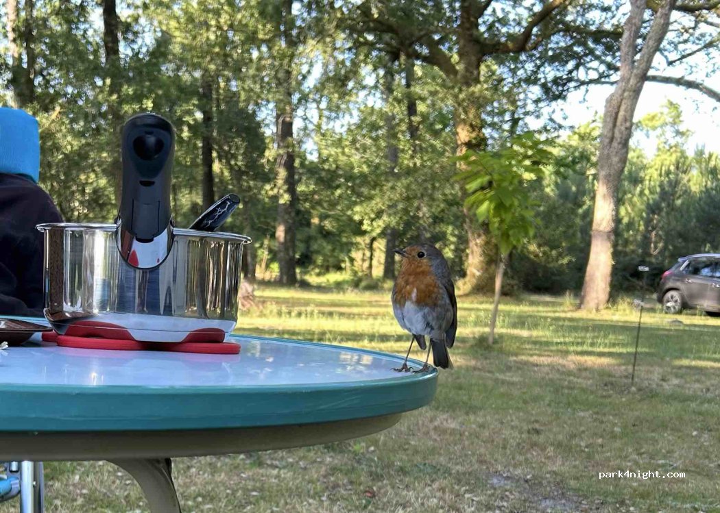 Natural camping Au gat — foto 5