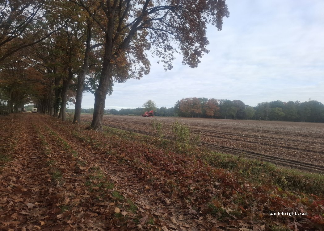 (2328) Hoogstraten - — foto 3