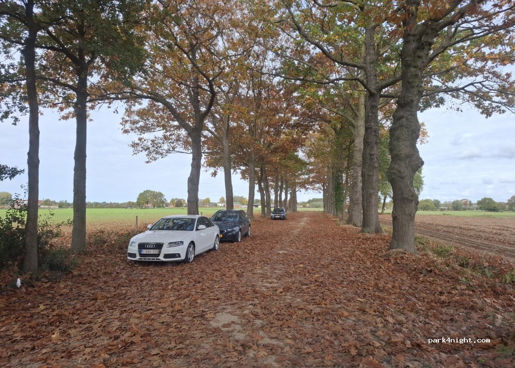 (2328) Hoogstraten - — foto 4
